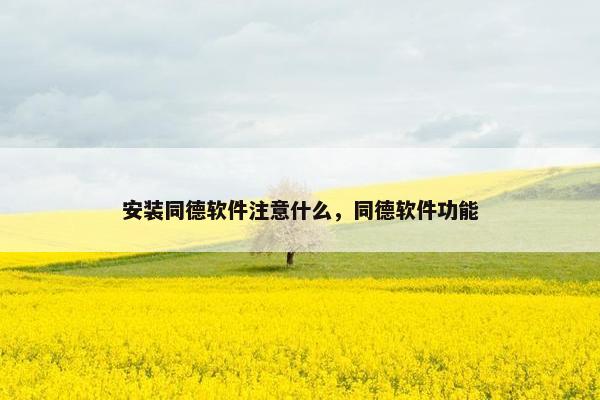 安装同德软件注意什么，同德软件功能