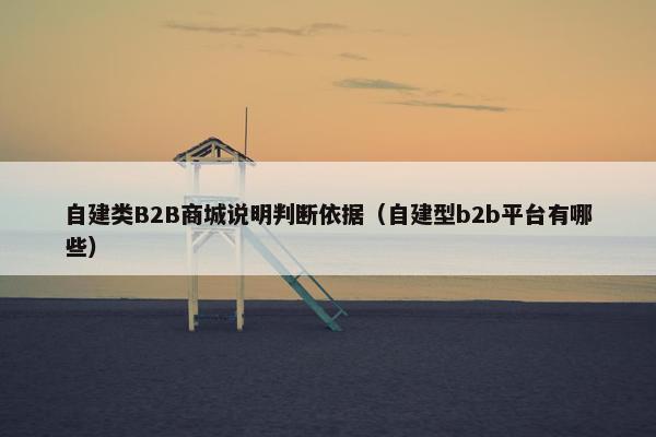 自建类B2B商城说明判断依据（自建型b2b平台有哪些）