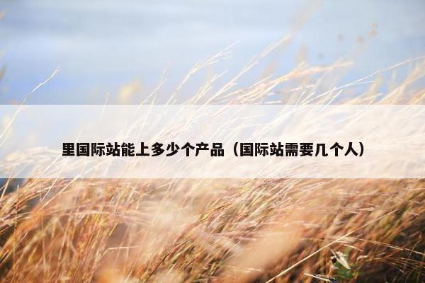 里国际站能上多少个产品（国际站需要几个人）