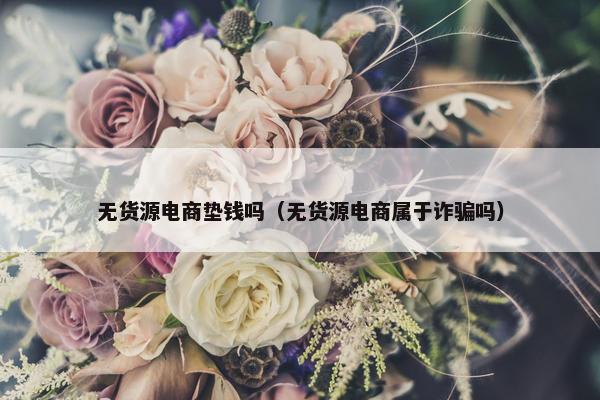 无货源电商垫钱吗（无货源电商属于诈骗吗）