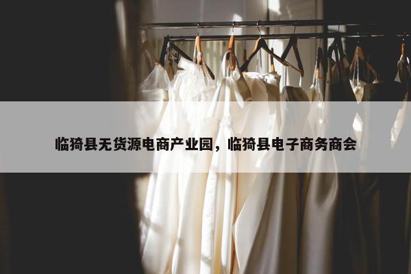 临猗县无货源电商产业园，临猗县电子商务商会