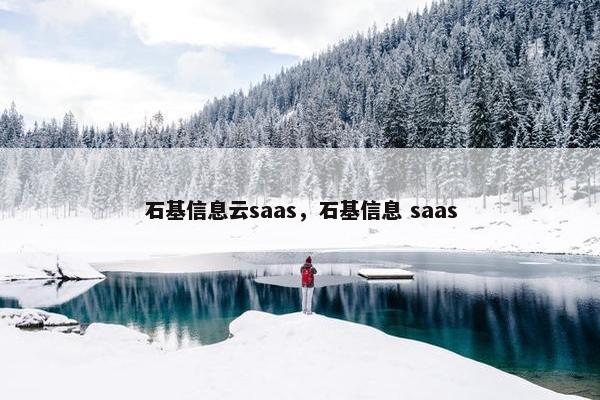 石基信息云saas，石基信息 saas