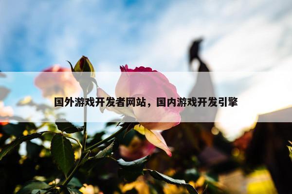 国外游戏开发者网站，国内游戏开发引擎
