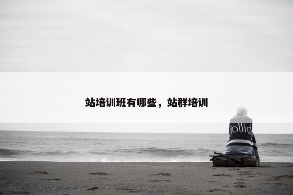 站培训班有哪些，站群培训