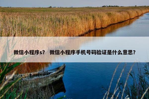 微信小程序s？ 微信小程序手机号码验证是什么意思？