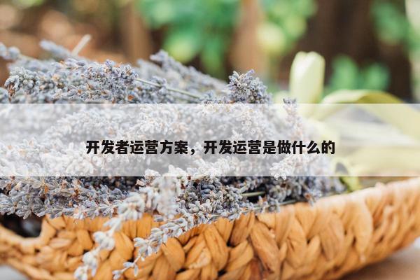 开发者运营方案，开发运营是做什么的