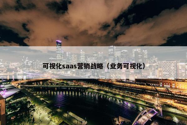 可视化saas营销战略（业务可视化）