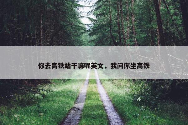 你去高铁站干嘛呢英文，我问你坐高铁