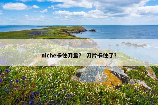niche卡住刀盘？ 刀片卡住了？