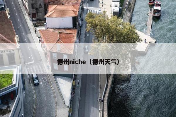 德州niche（德州天气）