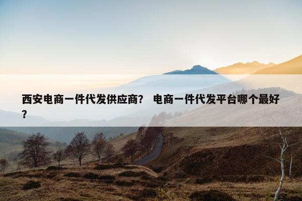 西安电商一件代发供应商？ 电商一件代发平台哪个最好？