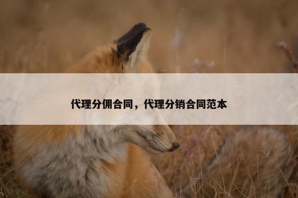 代理分佣合同，代理分销合同范本