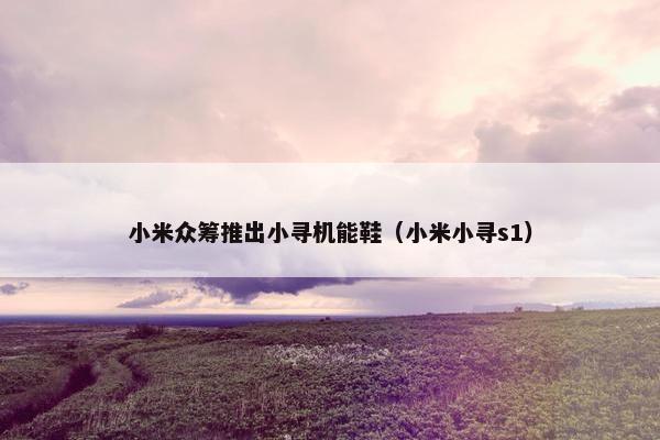 小米众筹推出小寻机能鞋（小米小寻s1）