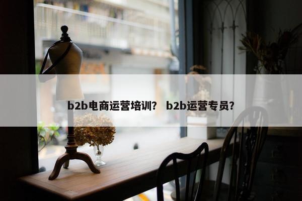 b2b电商运营培训？ b2b运营专员？