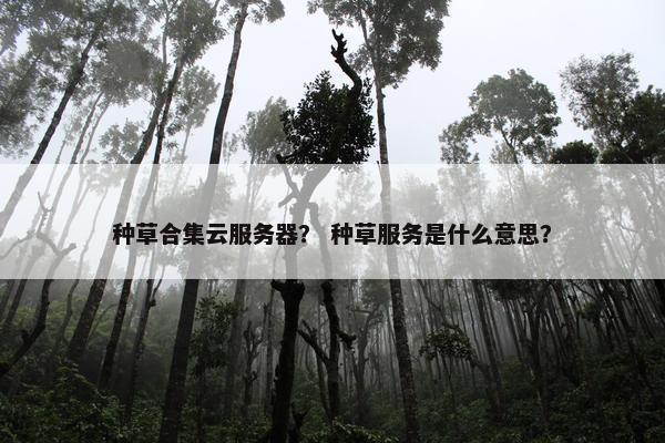 种草合集云服务器？ 种草服务是什么意思？