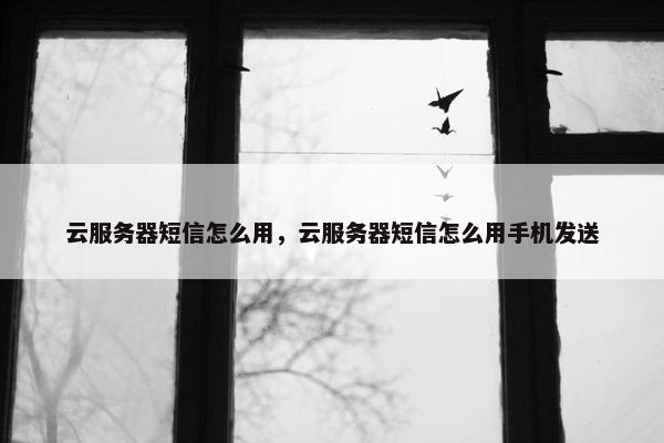 云服务器短信怎么用，云服务器短信怎么用手机发送