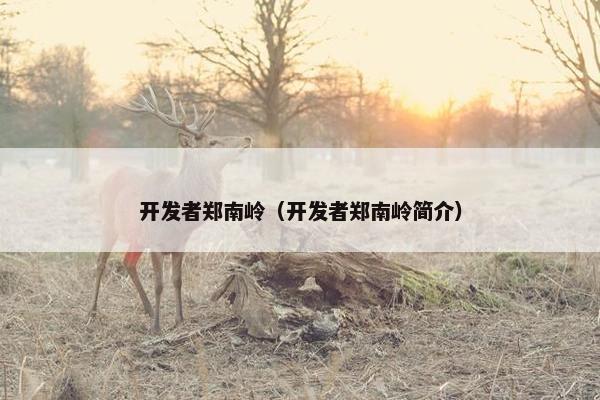 开发者郑南岭（开发者郑南岭简介）