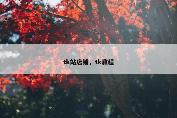 tk站店铺，tk教程