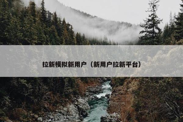 拉新模拟新用户（新用户拉新平台）