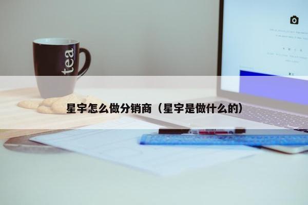 星宇怎么做分销商（星宇是做什么的）