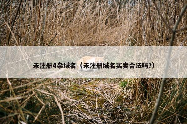未注册4杂域名（未注册域名买卖合法吗?）