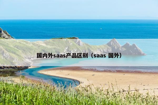 国内外saas产品区别（saas 国外）