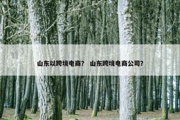 山东以跨境电商？ 山东跨境电商公司？