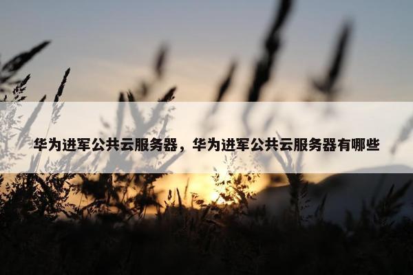 华为进军公共云服务器，华为进军公共云服务器有哪些