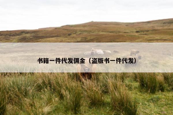 书籍一件代发佣金（盗版书一件代发）