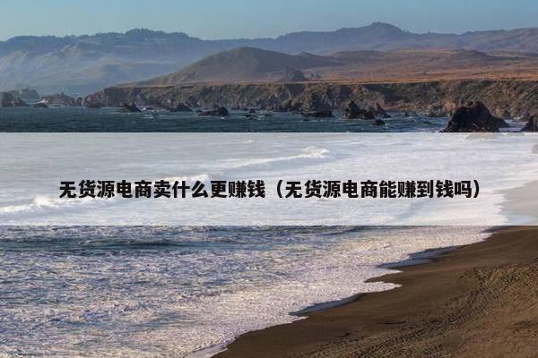 无货源电商卖什么更赚钱（无货源电商能赚到钱吗）