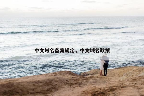 中文域名备案规定，中文域名政策