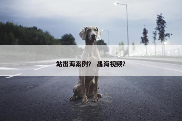 站出海案例？ 出海视频？