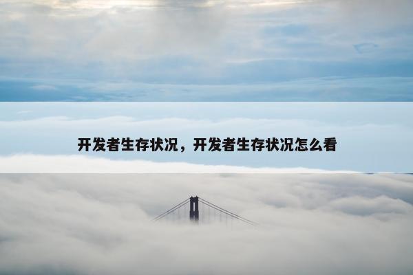 开发者生存状况，开发者生存状况怎么看