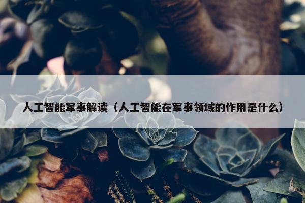 人工智能军事解读（人工智能在军事领域的作用是什么）