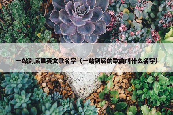 一站到底里英文歌名字（一站到底的歌曲叫什么名字）