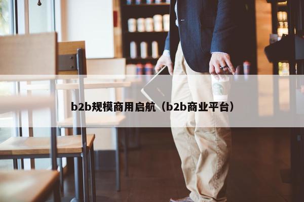 b2b规模商用启航（b2b商业平台）