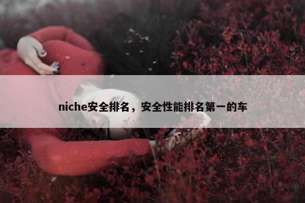 niche安全排名，安全性能排名第一的车