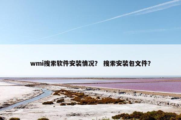 wmi搜索软件安装情况？ 搜索安装包文件？