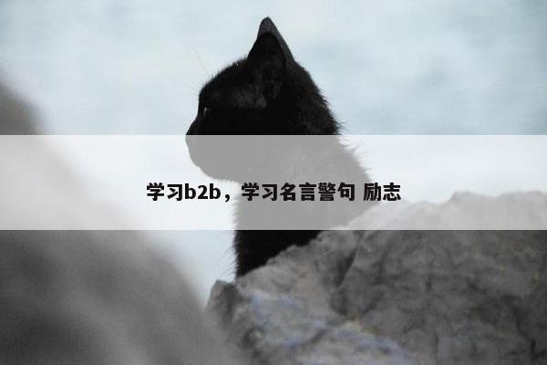 学习b2b，学习名言警句 励志