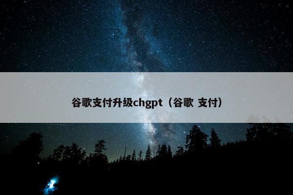 谷歌支付升级chgpt（谷歌 支付）