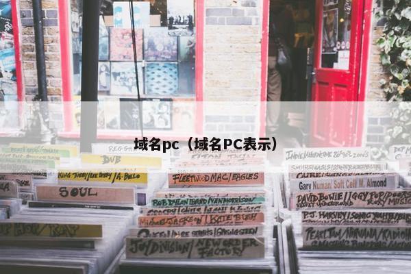 域名pc（域名PC表示）