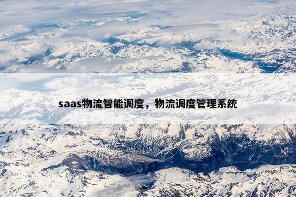saas物流智能调度，物流调度管理系统