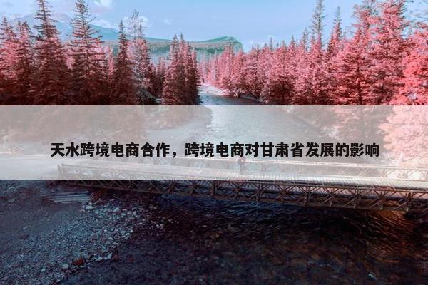 天水跨境电商合作，跨境电商对甘肃省发展的影响