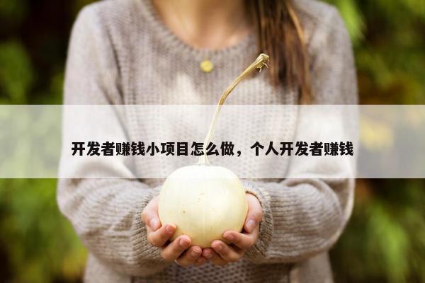 开发者赚钱小项目怎么做，个人开发者赚钱