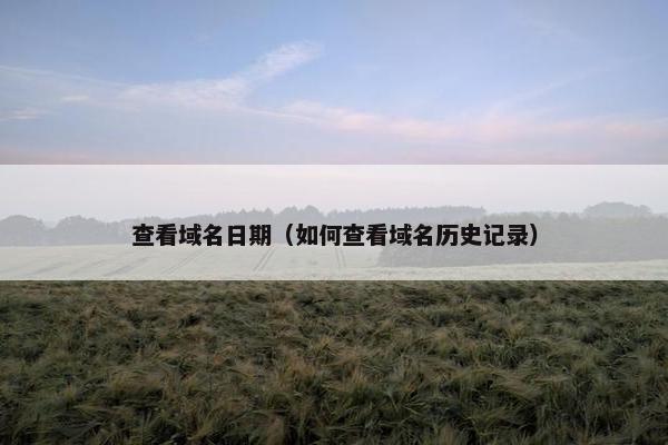 查看域名日期（如何查看域名历史记录）