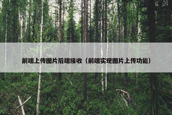 前端上传图片后端接收（前端实现图片上传功能）