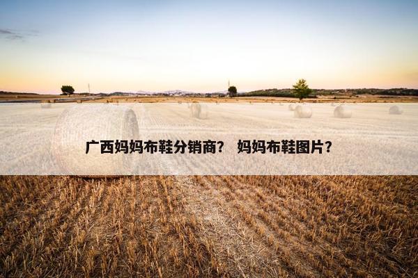 广西妈妈布鞋分销商？ 妈妈布鞋图片？