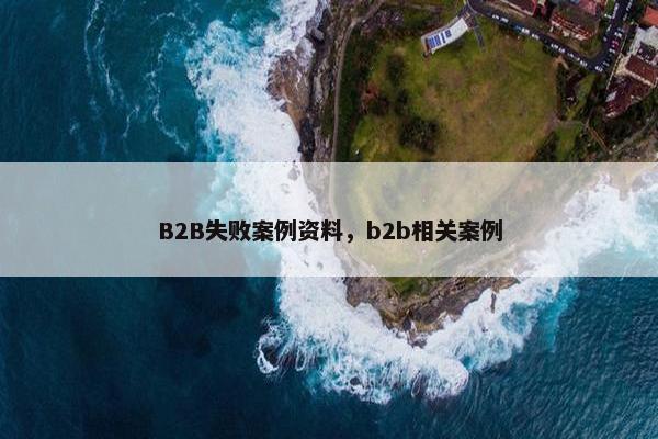 B2B失败案例资料，b2b相关案例