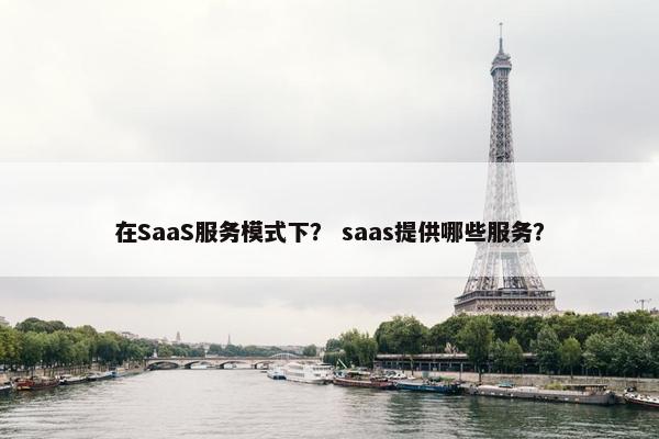 在SaaS服务模式下？ saas提供哪些服务？