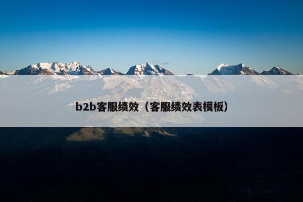 b2b客服绩效（客服绩效表模板）
